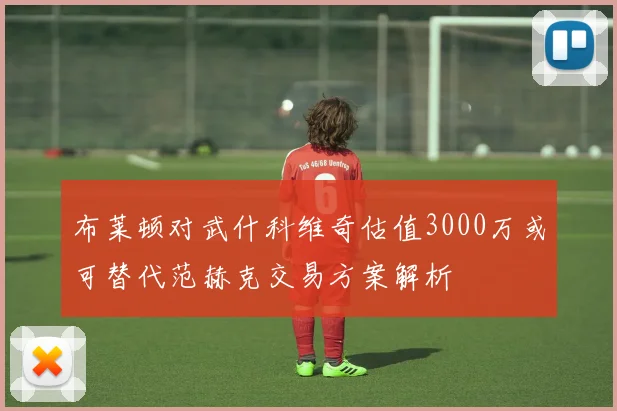布莱顿对武什科维奇估值3000万或可替代范赫克交易方案解析