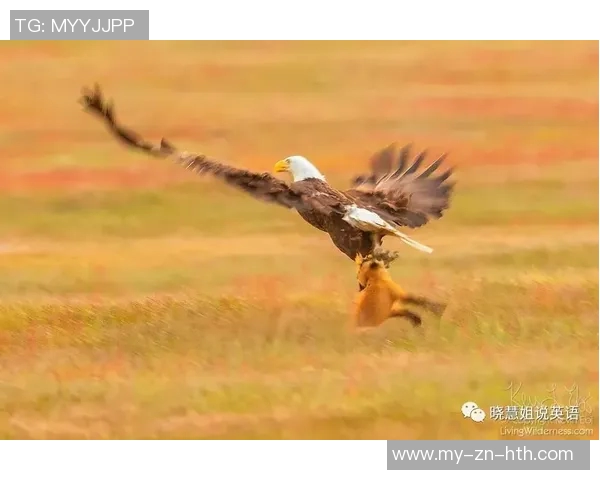 76人老鹰比赛争议主裁承认漏判暂停未挑战录像错误引发热议 76人老鹰比赛争议主裁承认漏判暂停未挑战录像错误引发热议